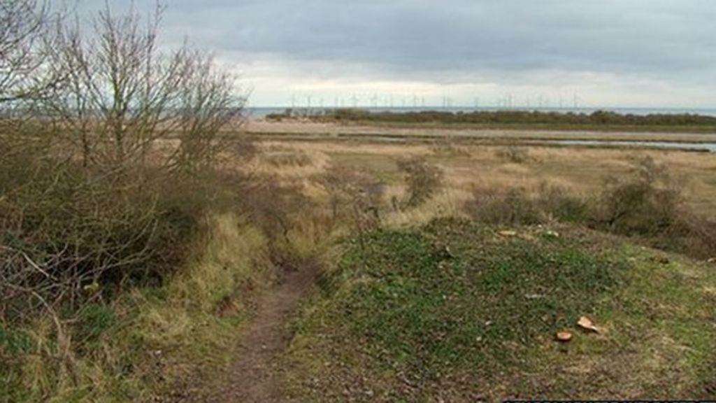 'Dogging hotspot' Seacroft Marsh Skegness gets wildlife funds BBC News