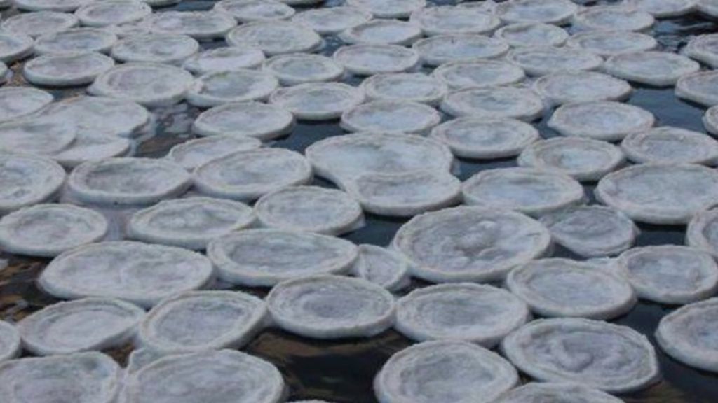 'Ice pancakes' form on River Dee in Aberdeenshire BBC News