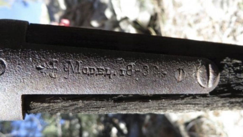 Rifle from 1882 found leaning on tree in Nevada park BBC News