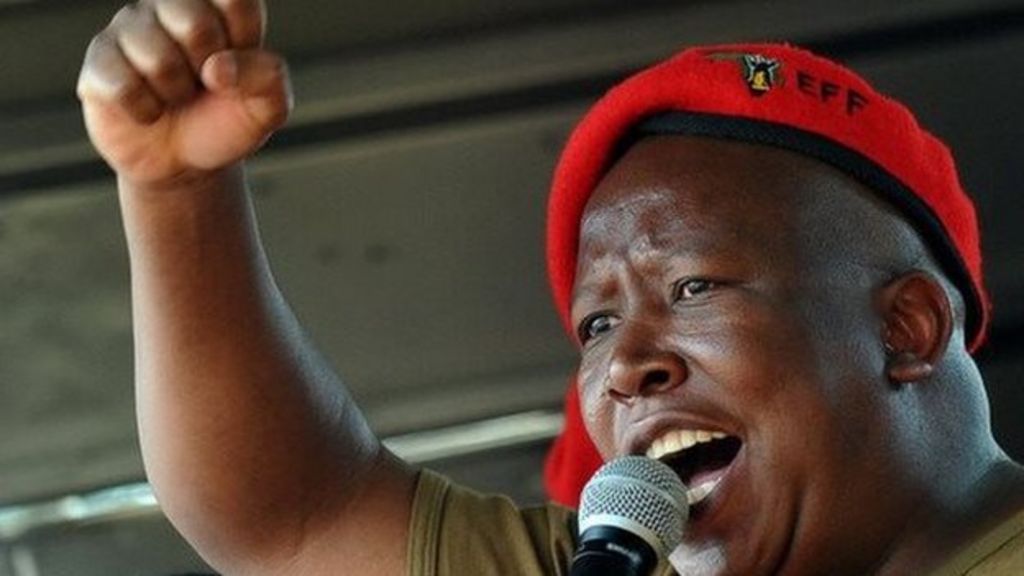 Julius Malema South Africa S Fiery Politician Mellows Bbc News