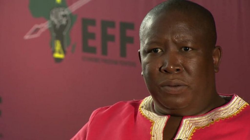 Julius Malema South Africas Fiery Politician Mellows Bbc News