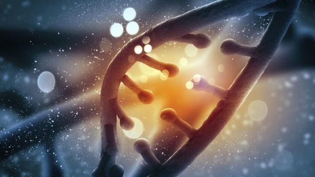 Astra Zeneca drive to develop drugs from genome project BBC News