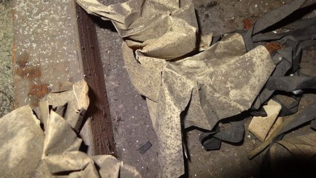 Enigma movie picture