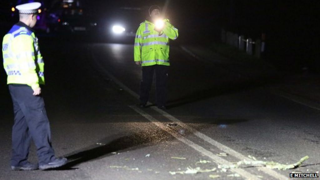 Dog walker killed in Midhurst car crash BBC News