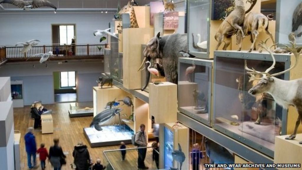 The Great North Museum: Hancock celebrates three million visitors - BBC ...