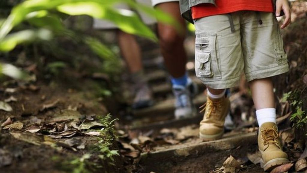 Jersey Crabbe centre reopens after £930k revamp BBC News