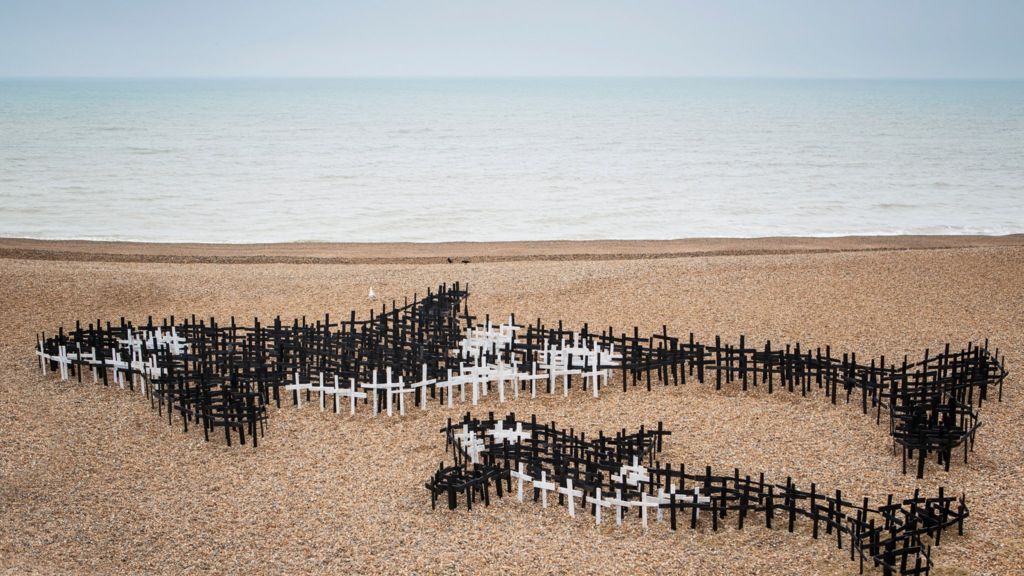 Brighton beach killer whale sculpture unveiled BBC News