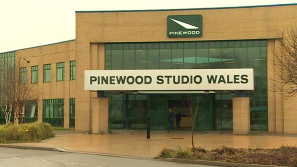 Ministers bought £6.3m Pinewood site 'without full survey'