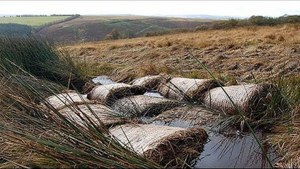 Acres of Exmoor 'rewetted' and restored to peat bog BBC News