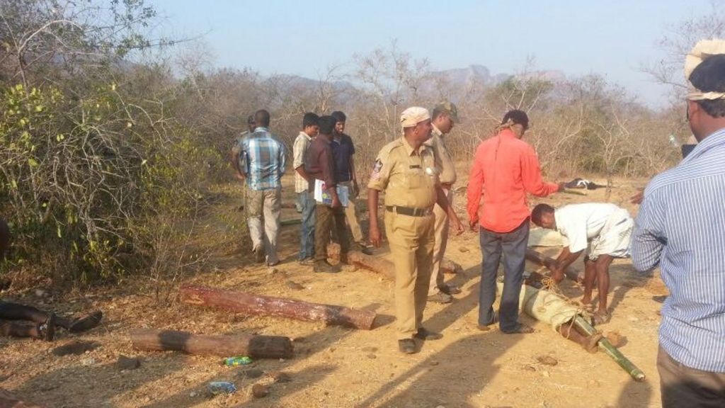 India Red Sandalwood Police Accused Over Logger Deaths c News