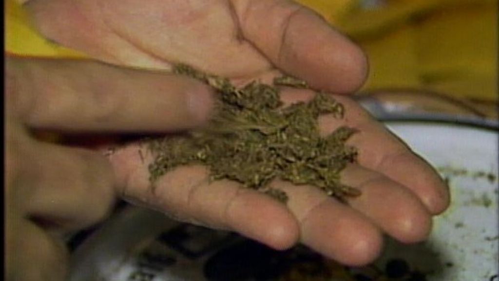 Guernsey States homemade drugs warning BBC News