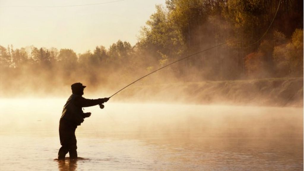 Smart waders go fishing for science - BBC News