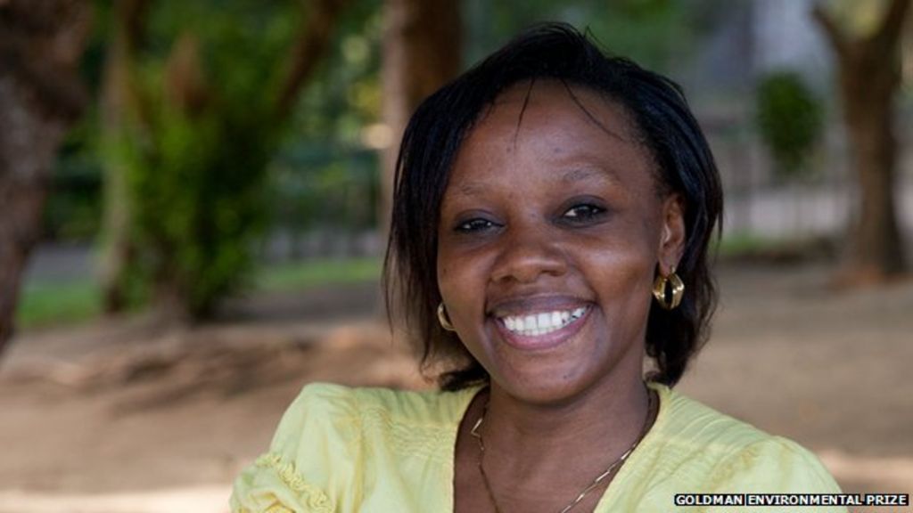 Kenyan activist Phyllis Omido wins Goldman prize - BBC News