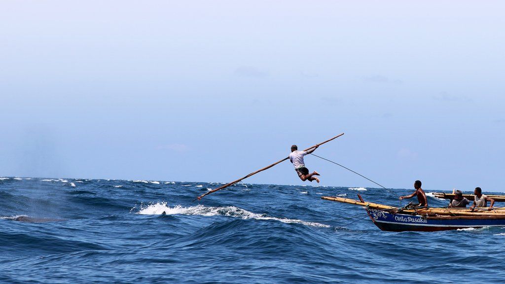 Hunting whales with rowing boats and spears - BBC News