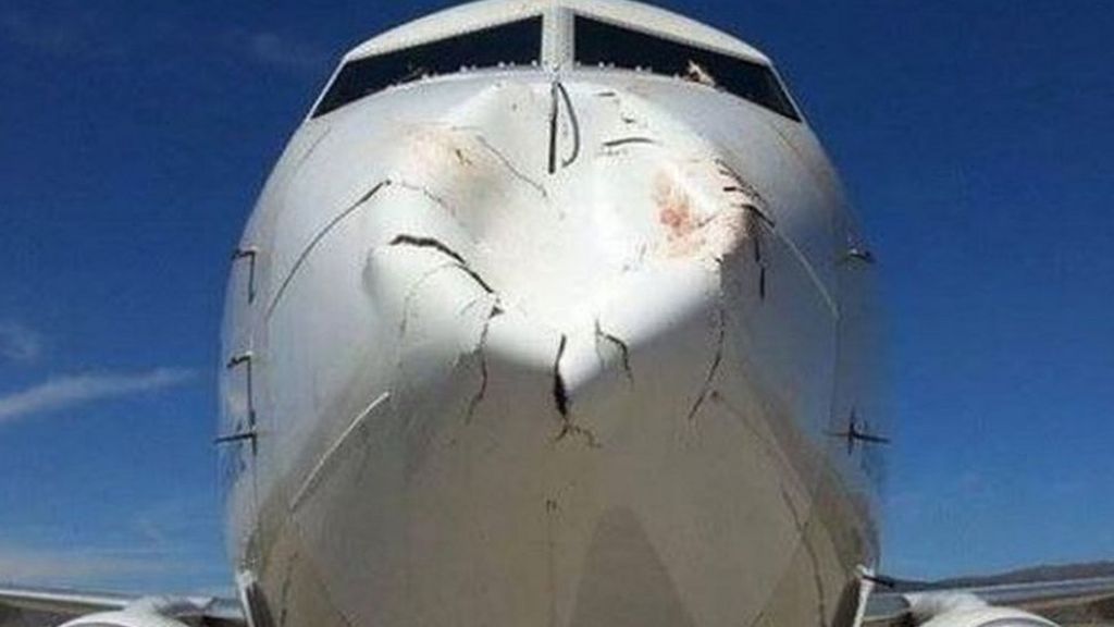 When a plane collides with a flock of birds it can be messy BBC News