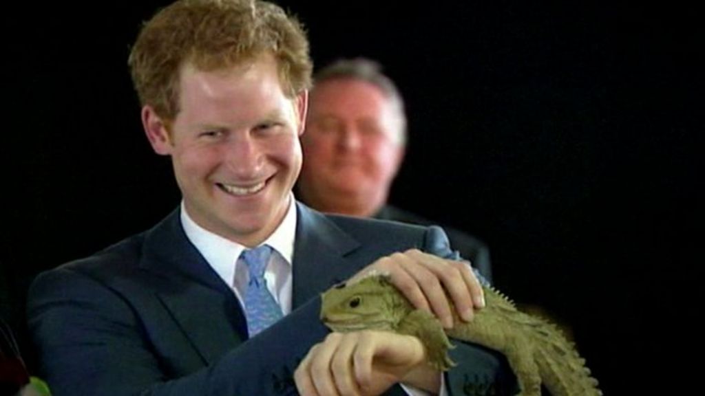 Prince Harry meets reptilian namesake in New Zealand BBC News