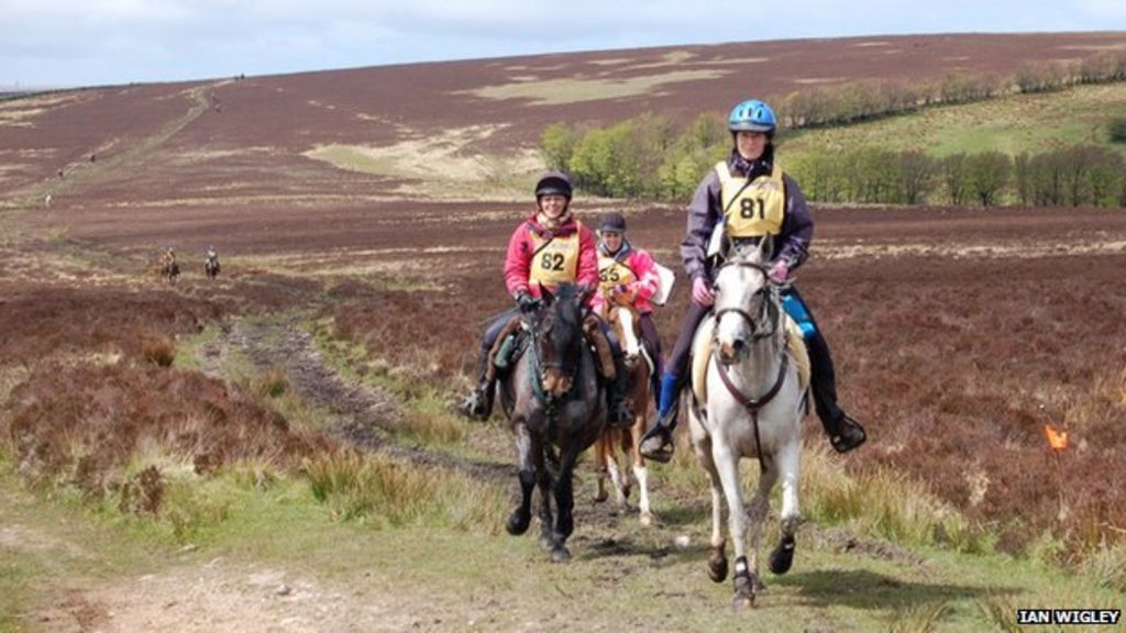 Exmoor Golden Horseshoe Ride may end after 50 years BBC News