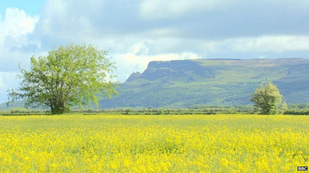Farming in harmony Northern Ireland farmers protecting wildlife on