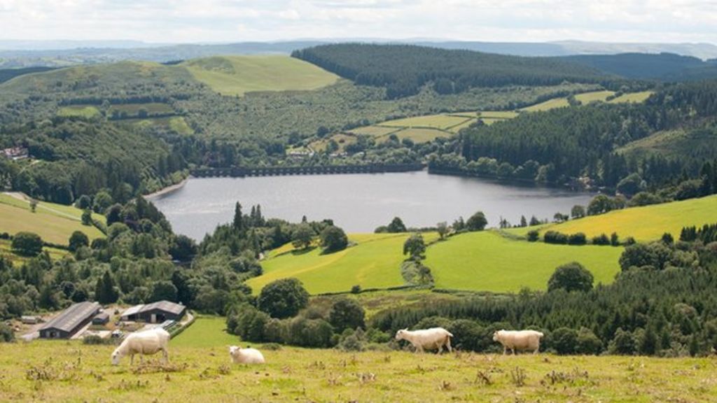 12,000acre Powys farm 'fantastic news for wildlife' BBC News