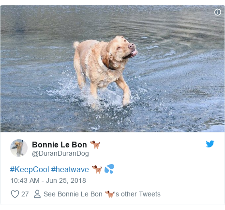 Twitter post by @DuranDuranDog: #KeepCool #heatwave 🐕 💦 