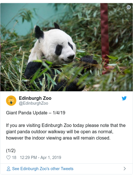 Twitter post by @EdinburghZoo: Giant Panda Update – 1/4/19If you are visiting Edinburgh Zoo today please note that the giant panda outdoor walkway will be open as normal, however the indoor viewing area will remain closed.(1/2) 