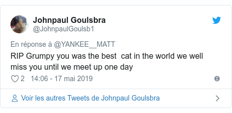 Twitter publication par @JohnpaulGoulsb1: RIP Grumpy you was the best  cat in the world we well miss you until we meet up one day