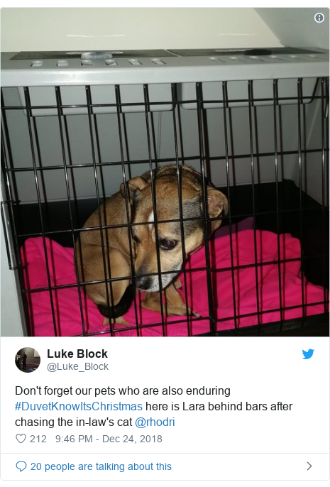 Twitter post by @Luke_Block: Don't forget our pets who are also enduring #DuvetKnowItsChristmas here is Lara behind bars after chasing the in-law's cat @rhodri 