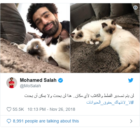 Twitter post by @MoSalah: لن يتم تصدير القطط والكلاب لأي مكان.. هذا لن يحدث ولا يمكن أن يحدث #لا_لانتهاك_حقوق_الحيوانات 