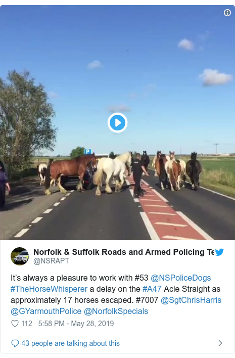 Twitter post by @NSRAPT: It’s always a pleasure to work with #53 @NSPoliceDogs #TheHorseWhisperer a delay on the #A47 Acle Straight as approximately 17 horses escaped. #7007 @SgtChrisHarris @GYarmouthPolice @NorfolkSpecials 