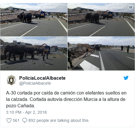 Twitter post by @PoliciaAlbacete: A-30 cortada por caída de camión con elefantes sueltos en la calzada. Cortada autovía dirección Murcia a la altura de pozo Cañada. 