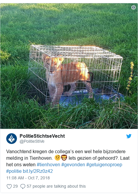 Twitter post by @PolitieStiVe: Vanochtend kregen de collega’s een wel hele bijzondere melding in Tienhoven. 🤨🦁 Iets gezien of gehoord?. Laat het ons weten #tienhoven #gevonden #getuigenoproep #politie  