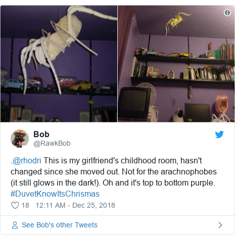 Twitter post by @RawkBob: .@rhodri This is my girlfriend's childhood room, hasn't changed since she moved out. Not for the arachnophobes (it still glows in the dark!). Oh and it's top to bottom purple. #DuvetKnowItsChrismas 