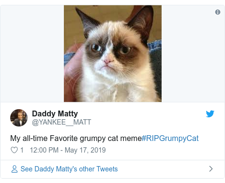 Grumpy Cat Internet Legend Dies Bbc News