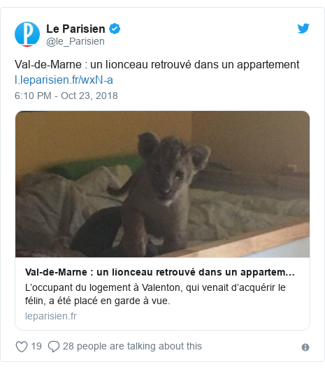 Twitter post by @le_Parisien: Val-de-Marne   un lionceau retrouvé dans un appartement 