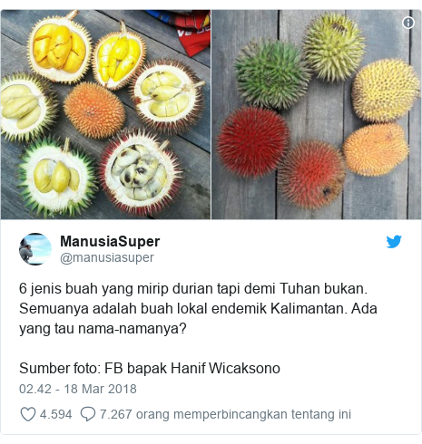 Kekayaan buah Indonesia Durian  segenggaman tangan 