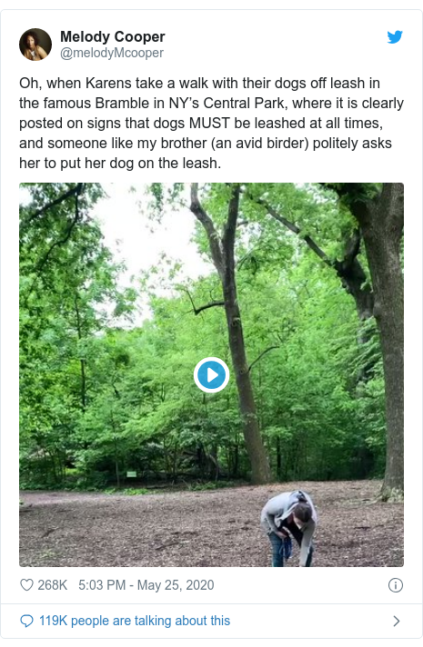 Twitter post by @melodyMcooper: Oh, when Karens take a walk with their dogs off leash in the famous Bramble in NY’s Central Park, where it is clearly posted on signs that dogs MUST be leashed at all times, and someone like my brother (an avid birder) politely asks her to put her dog on the leash. 