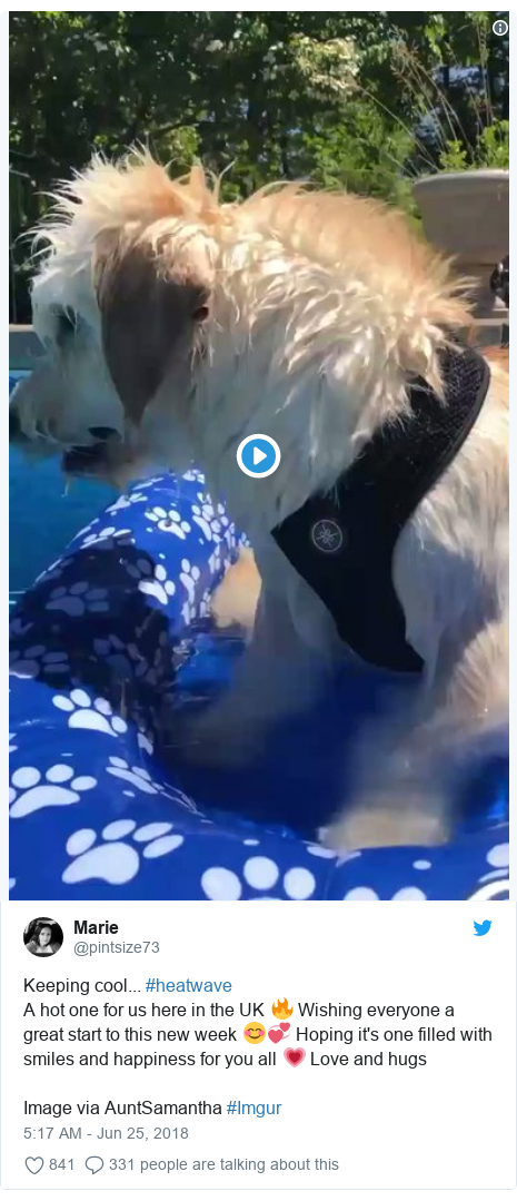 Twitter post by @pintsize73: Keeping cool... #heatwaveA hot one for us here in the UK 🔥 Wishing everyone a great start to this new week 😊💞 Hoping it's one filled with smiles and happiness for you all 💗 Love and hugs Image via AuntSamantha #Imgur 