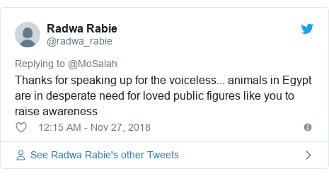 Twitter post by @radwa_rabie: Thanks for speaking up for the voiceless... animals in Egypt are in desperate need for loved public figures like you to raise awareness