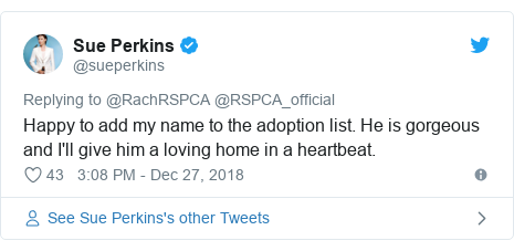 Rap Star Snoop Dogg Offers To Rehome Abandoned Dog Snoop Bbc News