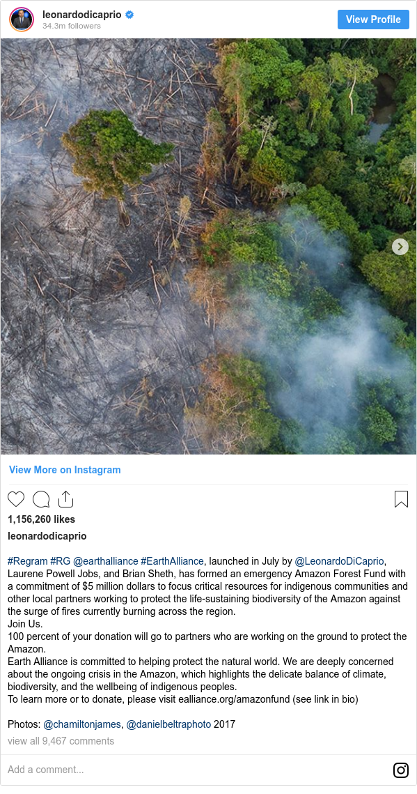 Instagram post by leonardodicaprio: #Regram #RG @earthalliance #EarthAlliance, launched in July by @LeonardoDiCaprio, Laurene Powell Jobs, and Brian Sheth, has formed an emergency Amazon Forest Fund with a commitment of $5 million dollars to focus critical resources for indigenous communities and other local partners working to protect the life-sustaining biodiversity of the Amazon against the surge of fires currently burning across the region. 
Join Us. 
100 percent of your donation will go to partners who are working on the ground to protect the Amazon. 
Earth Alliance is committed to helping protect the natural world. We are deeply concerned about the ongoing crisis in the Amazon, which highlights the delicate balance of climate, biodiversity, and the wellbeing of indigenous peoples. 
To learn more or to donate, please visit ealliance.org/amazonfund (see link in bio)

Photos  @chamiltonjames, @danielbeltraphoto 2017