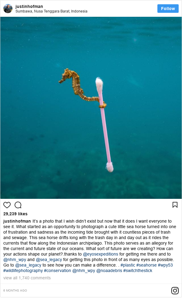 Video viral sampah laut: Enam hal yang harus Anda ketahui dan apa solusinya? - BBC Indonesia