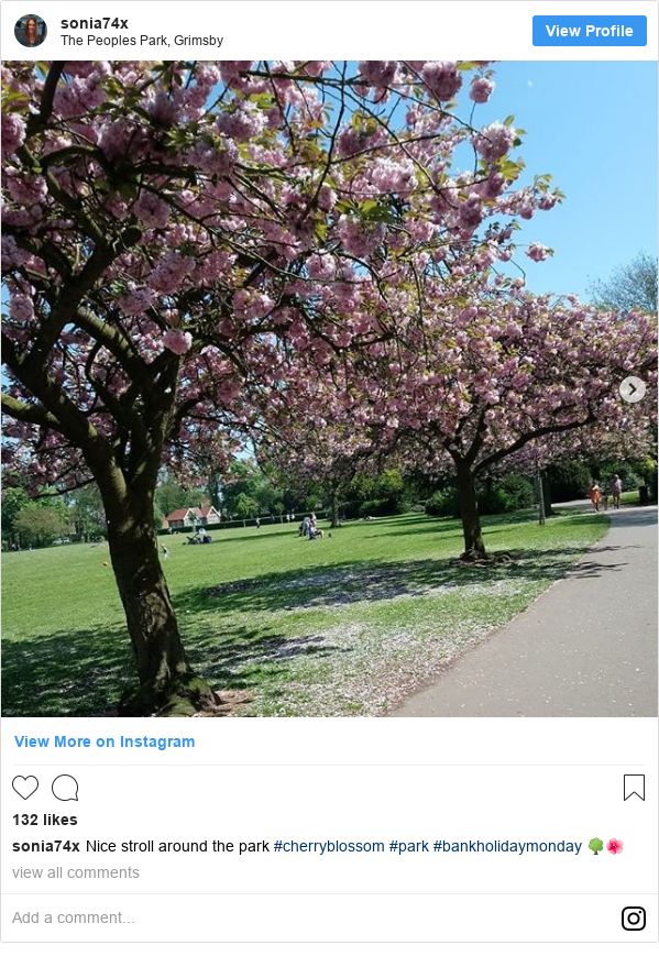 Instagram post by sonia74x: Nice stroll around the park #cherryblossom #park #bankholidaymonday 🌳🌺