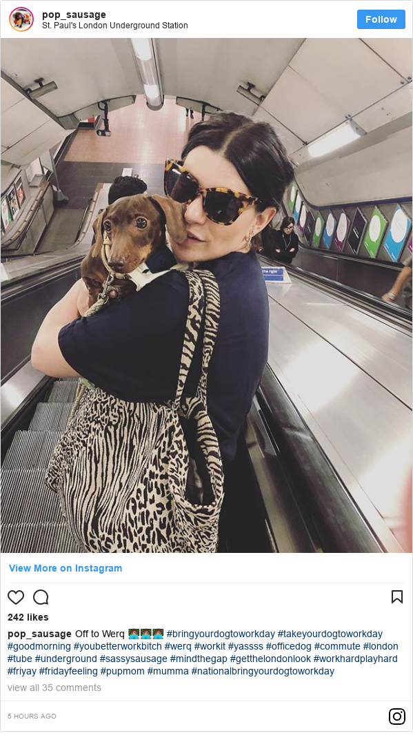 Instagram post by pop_sausage: Off to Werq 👩🏽‍💻👩🏽‍💻👩🏽‍💻 #bringyourdogtoworkday #takeyourdogtoworkday #goodmorning #youbetterworkbitch #werq #workit #yassss #officedog #commute #london #tube #underground #sassysausage #mindthegap #getthelondonlook #workhardplayhard #friyay #fridayfeeling #pupmom #mumma #nationalbringyourdogtoworkday