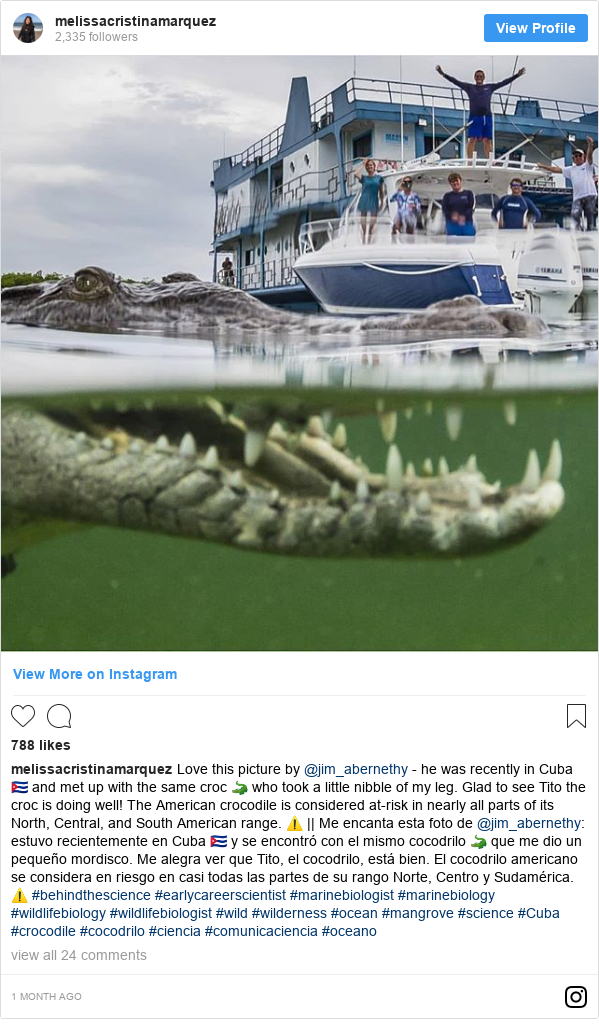 Instagram post by melissacristinamarquez: Love this picture by @jim_abernethy - he was recently in Cuba 🇨🇺 and met up with the same croc 🐊 who took a little nibble of my leg. Glad to see Tito the croc is doing well! The American crocodile is considered at-risk in nearly all parts of its North, Central, and South American range. ⚠️ || Me encanta esta foto de @jim_abernethy  estuvo recientemente en Cuba 🇨🇺 y se encontró con el mismo cocodrilo 🐊 que me dio un pequeño mordisco. Me alegra ver que Tito, el cocodrilo, está bien. El cocodrilo americano se considera en riesgo en casi todas las partes de su rango Norte, Centro y Sudamérica. ⚠️ #behindthescience #earlycareerscientist #marinebiologist #marinebiology #wildlifebiology #wildlifebiologist #wild #wilderness #ocean #mangrove #science #Cuba #crocodile #cocodrilo #ciencia #comunicaciencia #oceano