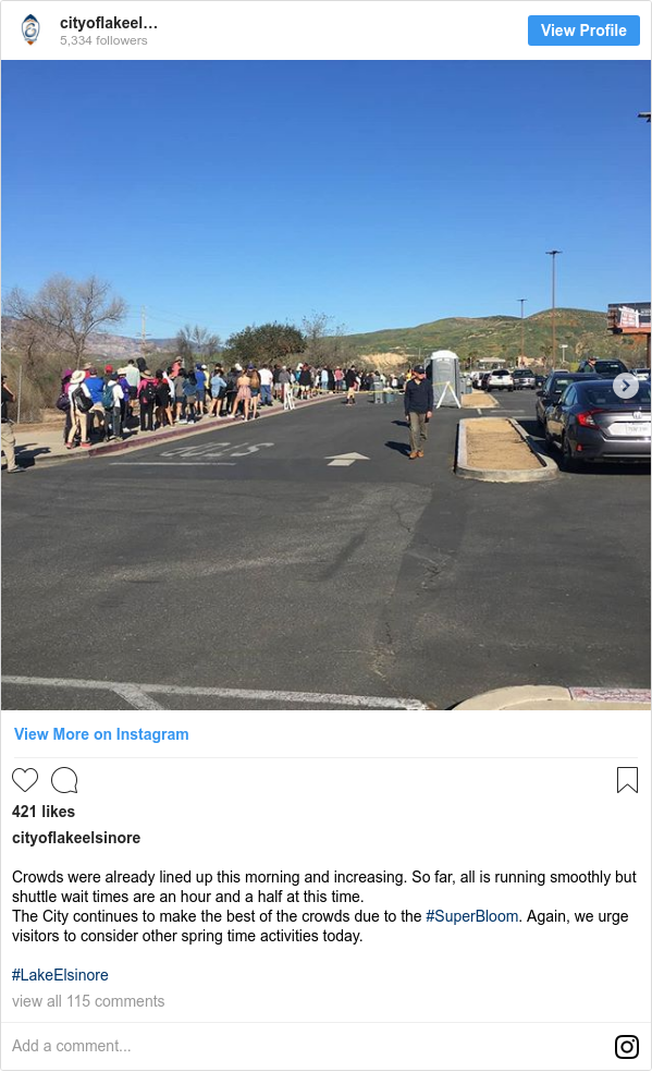 Instagram post by cityoflakeelsinore: Crowds were already lined up this morning and increasing. So far, all is running smoothly but shuttle wait times are an hour and a half at this time. 
The City continues to make the best of the crowds due to the #SuperBloom. Again,  we urge visitors to consider other spring time activities today.

#LakeElsinore