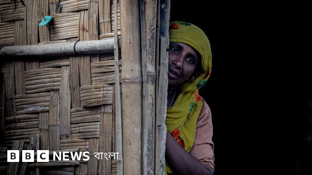 রোহিঙ্গা সংকটে মিয়ানমারের বিবৃতি নিয়ে উদ্বেগ