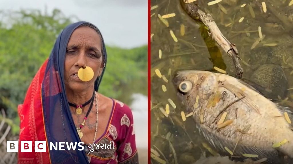 દલિત હોવાના કારણે દુર્ગંધ વચ્ચે જીવવા મજબૂર?