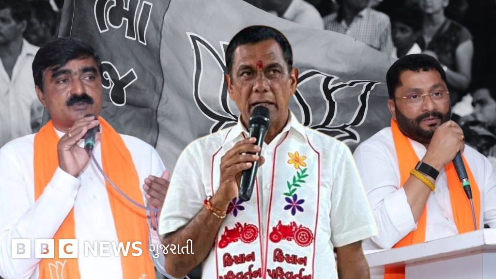 બારડોલી શુગર મિલ ચૂંટણીમાં ભાજપ ધારાસભ્ય સહિત સહકાર પૅનલનો સફાયો