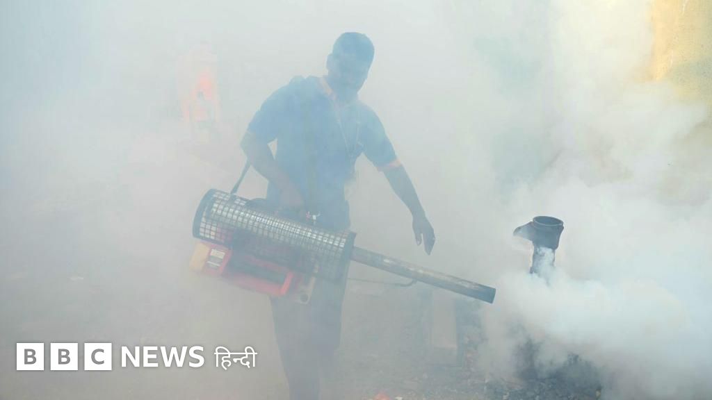 मच्छर भगाने वाले धुएं से मौत की खबरें गलत: अधिकारी
