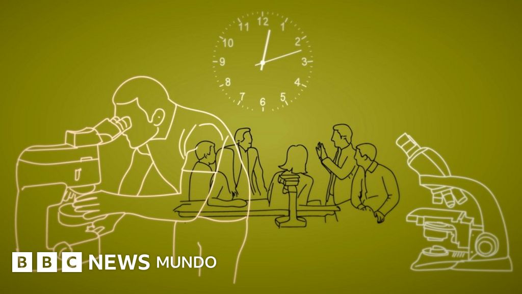 www.bbc.com